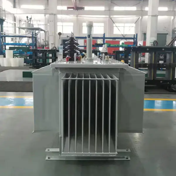 Performance characteristics of oil immersed transformers
