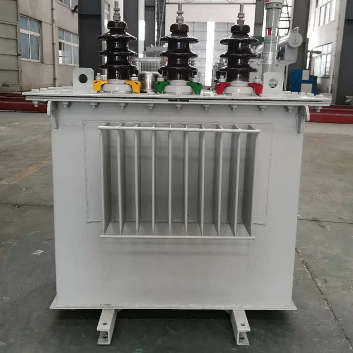 What are the common causes of oil leakage in oil-immersed transformers?