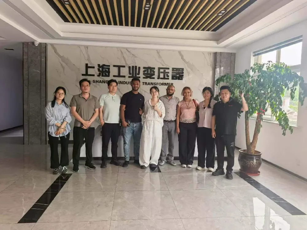 Warm Welcome! Ethiopian Delegation Visits Shanghai Industrial Transformer Co., Ltd. for Exchange on Transformers & Power Distribution Equipment